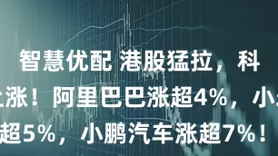 智慧优配 港股猛拉，科网股全线上涨！阿里巴巴涨超4%，小米集团涨超5%，小鹏汽车涨超7%！黄金股集体下挫_同比增长_指数_数据