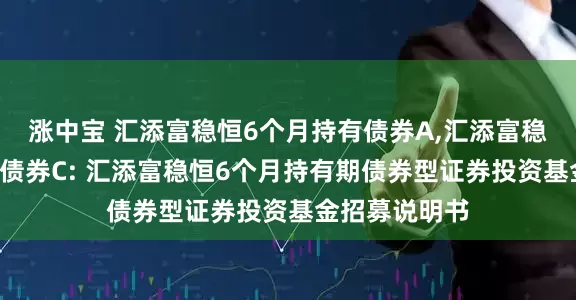 涨中宝 汇添富稳恒6个月持有债券A,汇添富稳恒6个月持有债券C: 汇添富稳恒6个月持有期债券型证券投资基金招募说明书