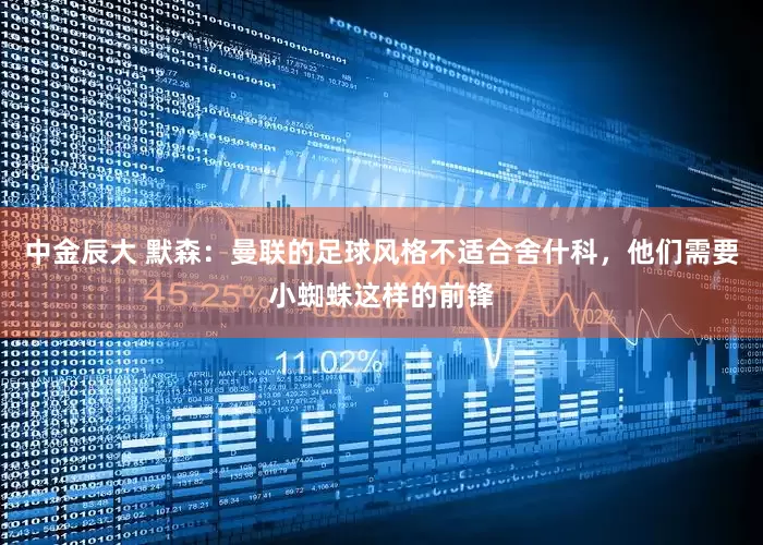 中金辰大 默森：曼联的足球风格不适合舍什科，他们需要小蜘蛛这样的前锋